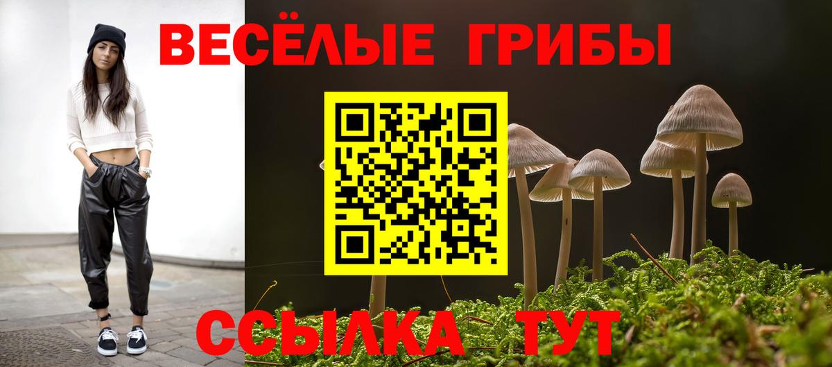 Павловский Посад  Галлюциногенные грибы MAGIC MUSHROOMS  купить закладку  Вход с VPN 