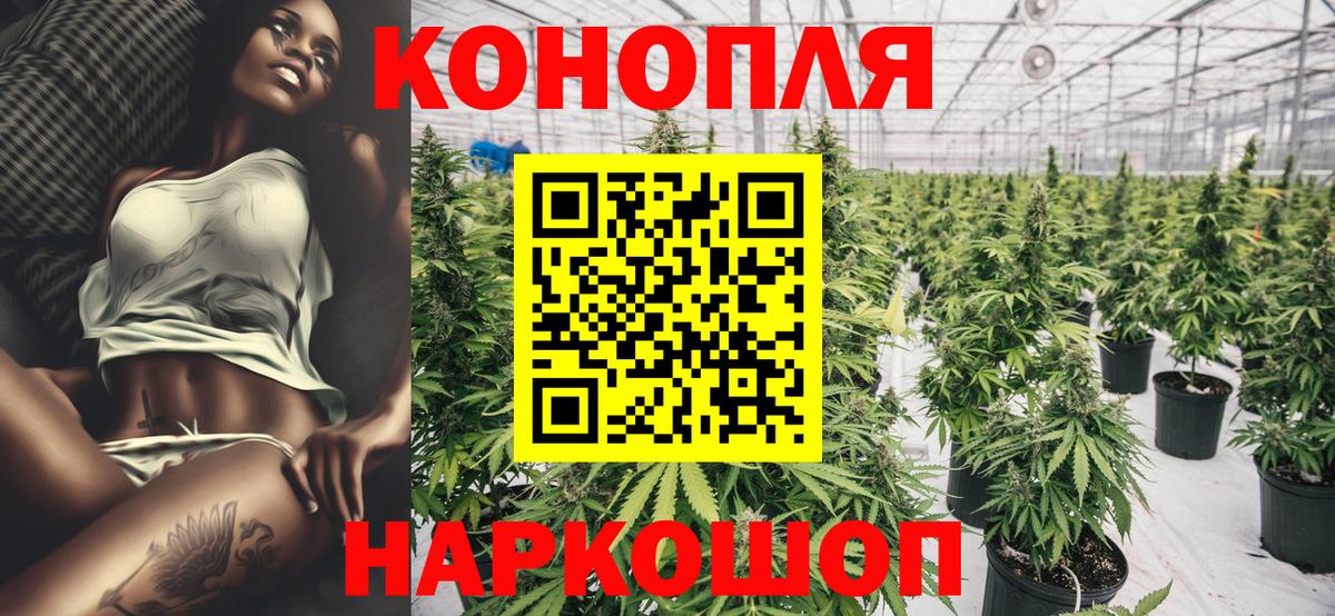 Бошки Шишки Amnesia Павловский Посад